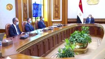 شاهد.. تفاصيل اجتماعات الرئيس السيسي مع رئيس الوزراء وعددا من الوزراء والمسؤولين