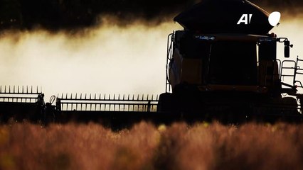 FMI melhora previsão de crescimento do Brasil