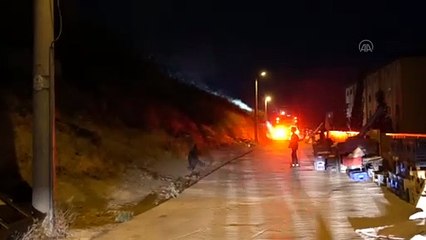 İZMİR - Otluk alanda çıkan yangın söndürüldü