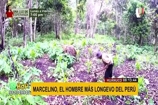Peruano más longevo en Huánuco: Don Marcelino ya vivió dos centenarios de independencia