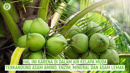 11 Manfaat Air Kelapa Muda Bagi Kesehatan