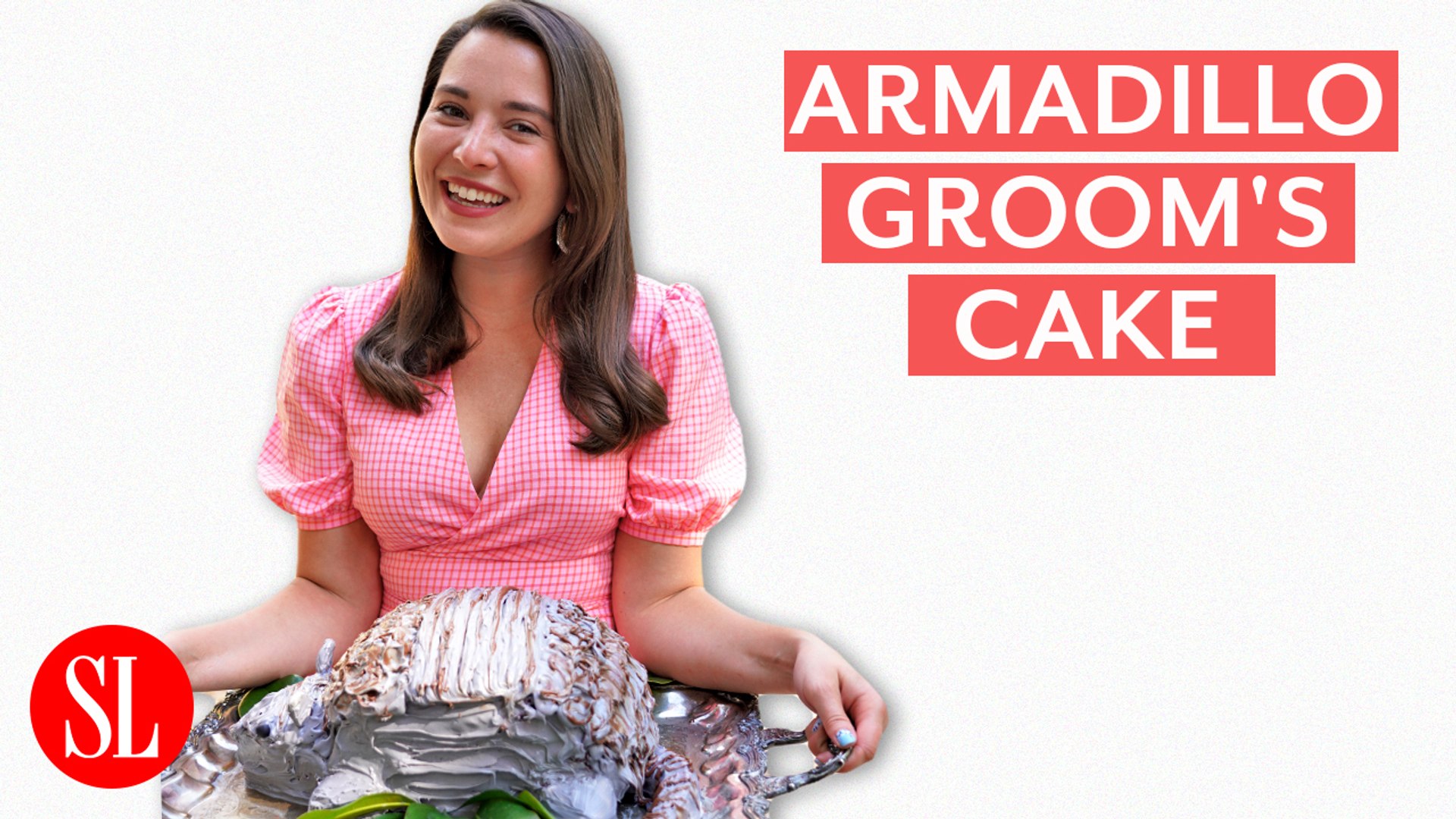 Hey Y'all -  Armadillo Groom's Cake