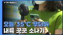 [날씨] 서울 8일 연속 열대야...낮 35℃ 더위 속 소나기 / YTN