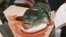 The Japanese eat 10,000 tons of fugu each year. Here's what makes the poisonous pufferfish so expensive.