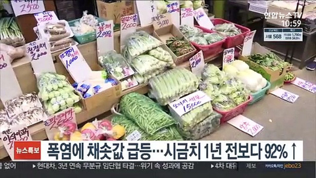 폭염에 채솟값 급등…시금치 1년 전보다 92%↑