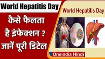World Hepatitis Day 2021: कैसे फैलता है इंफेक्शन? जानें इस दिन का इतिहास | वनइंडिया हिंदी