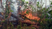 'Sinais vitais da Terra estão enfraquecendo'