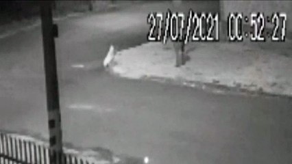 Vândalo é flagrado arrancando placa de sinalização no Santo Onofre
