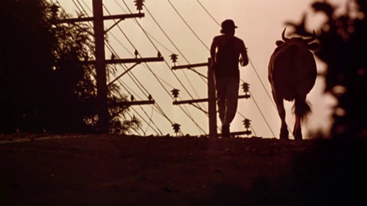 City Slickers 2 The Legend of Curly's Gold Movie (1994) - Billy Crystal, Daniel Stern, Bruno Kirby