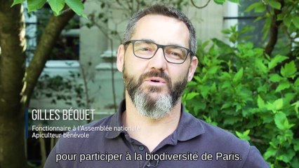 Récolte de miel au rucher de l'Assemblée nationale - Mardi 27 juillet 2021
