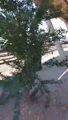 ayudan en #guaymas #sonora #Mexico a la #caravana #Migrante de #Honduras que llegan en tren para crusar la #Frontera con #USA les dan comida agua y ropa