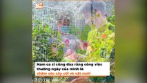 Khu vườn xanh mướt của sao Việt mùa dịch: Mr.Đàm nuôi thêm thỏ, Nhật Kim Anh chăm rau