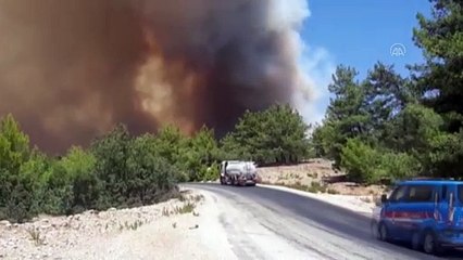 ANTALYA - Orman yangınına hava ve karadan müdahale ediliyor