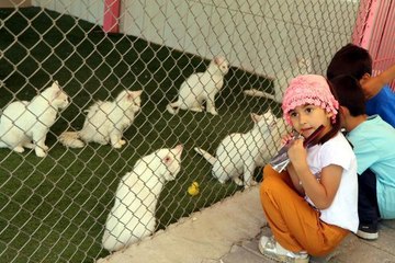 VAN KEDİLERİNE 2 AYDA 30 BİN ZİYARETÇİ