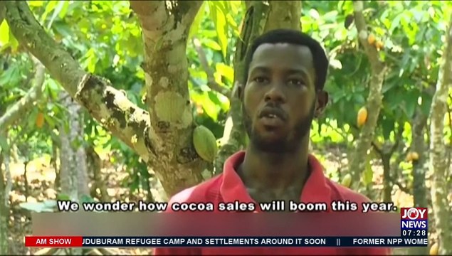 Payment of Cocoa Farmers: Exploring viability of cocoa farming amid Covid - AM Business on JoyNews (28-7-21)