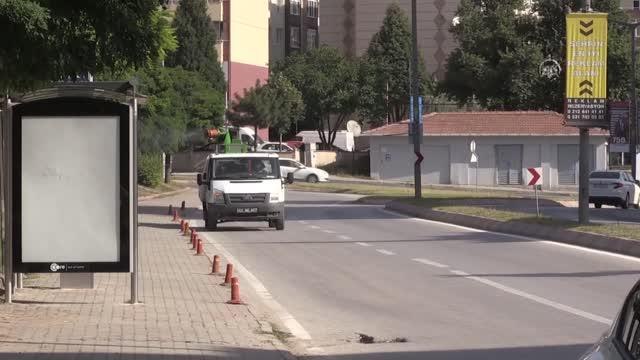 Popülasyonu artan dantel böceği ne karşı ilaçlama çalışması başlatıldı