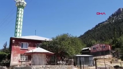 Son dakika haberi... Adana Feke'de orman yangını (2)