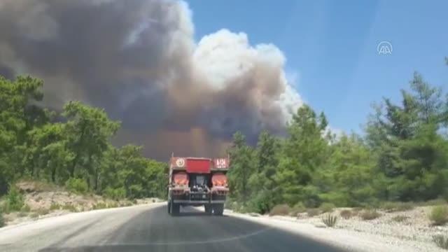 Orman yangınına hava ve karadan müdahale ediliyor