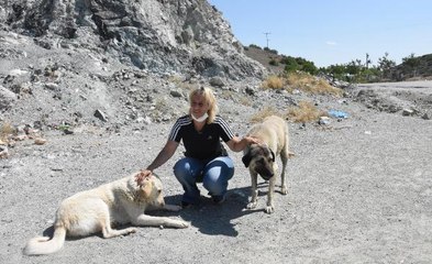 SALDIRIDA ÇENESİ KIRILDI, TABURCU OLUR OLMAZ YENİDEN SOKAK HAYVANLARINA KOŞTU