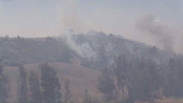Tarlada başlayıp ormanlık alana sıçrayan yangına müdahale ediliyor