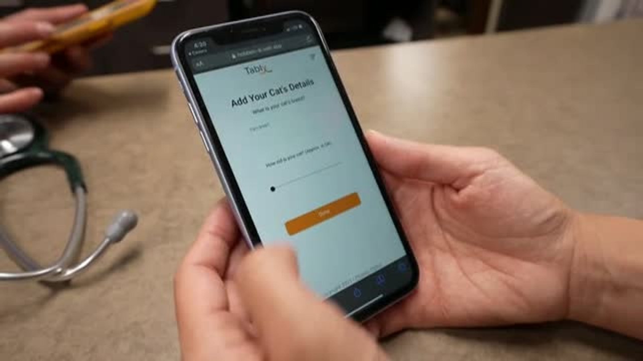 "Tably", la app móvil que descubre el estado de...