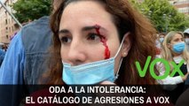 Oda a la intolerancia: catálogo de agresiones a VOX