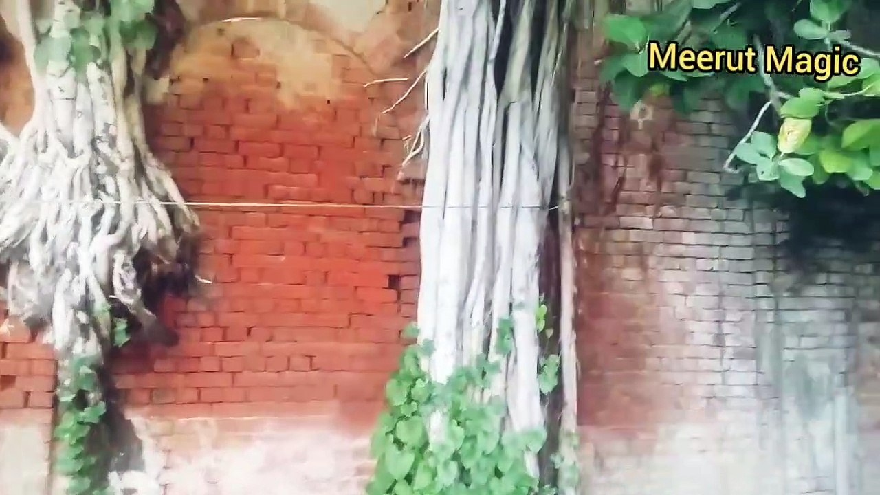 इतिहास  की एक अनजान हवेली ,मेरठ शहर