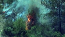 ADANA - Tarlada başlayıp ormanlık alana sıçrayan yangına müdahale ediliyor