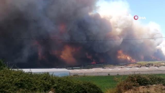 Son dakika... Antalya'daki orman yangını sebebiyle gökyüzü dumanla kaplandı