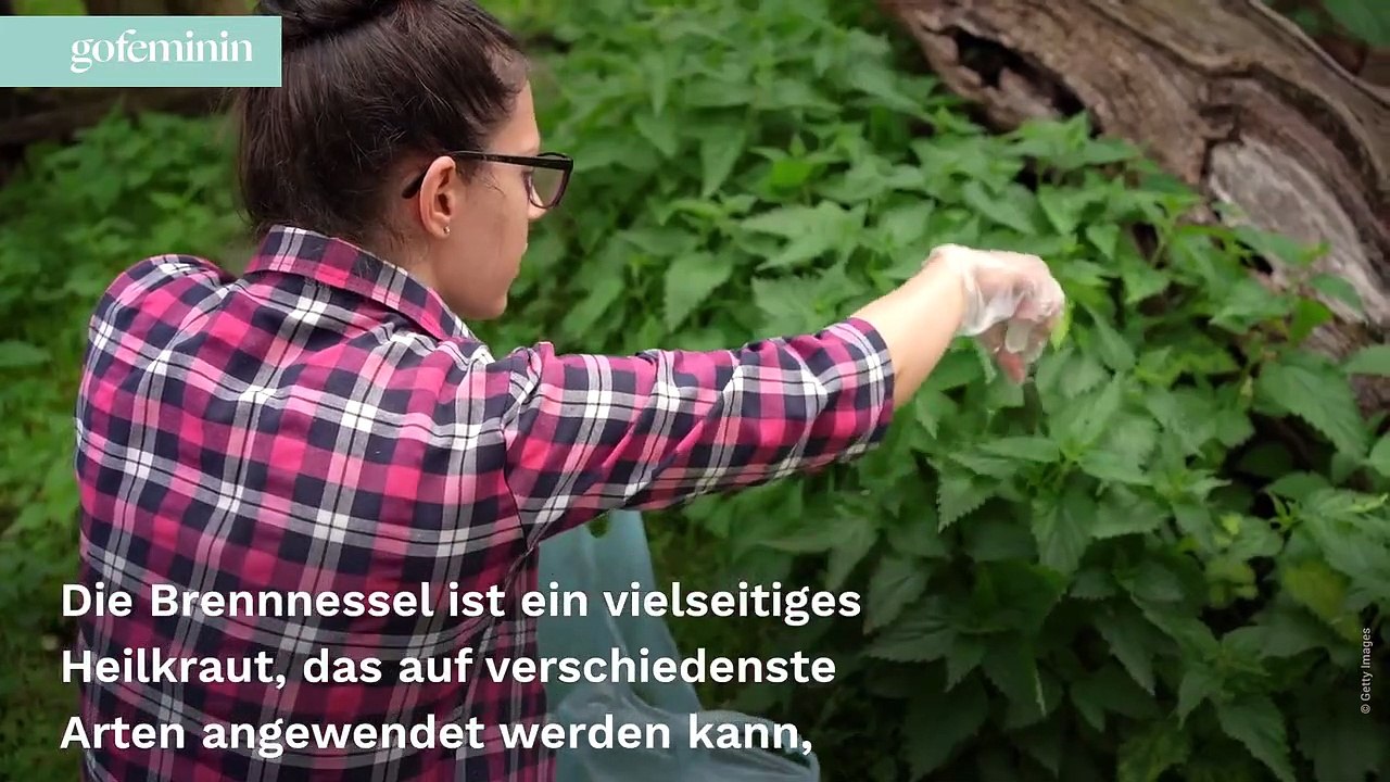 Brennnesseltee: Positive Wirkung als Hausmittel