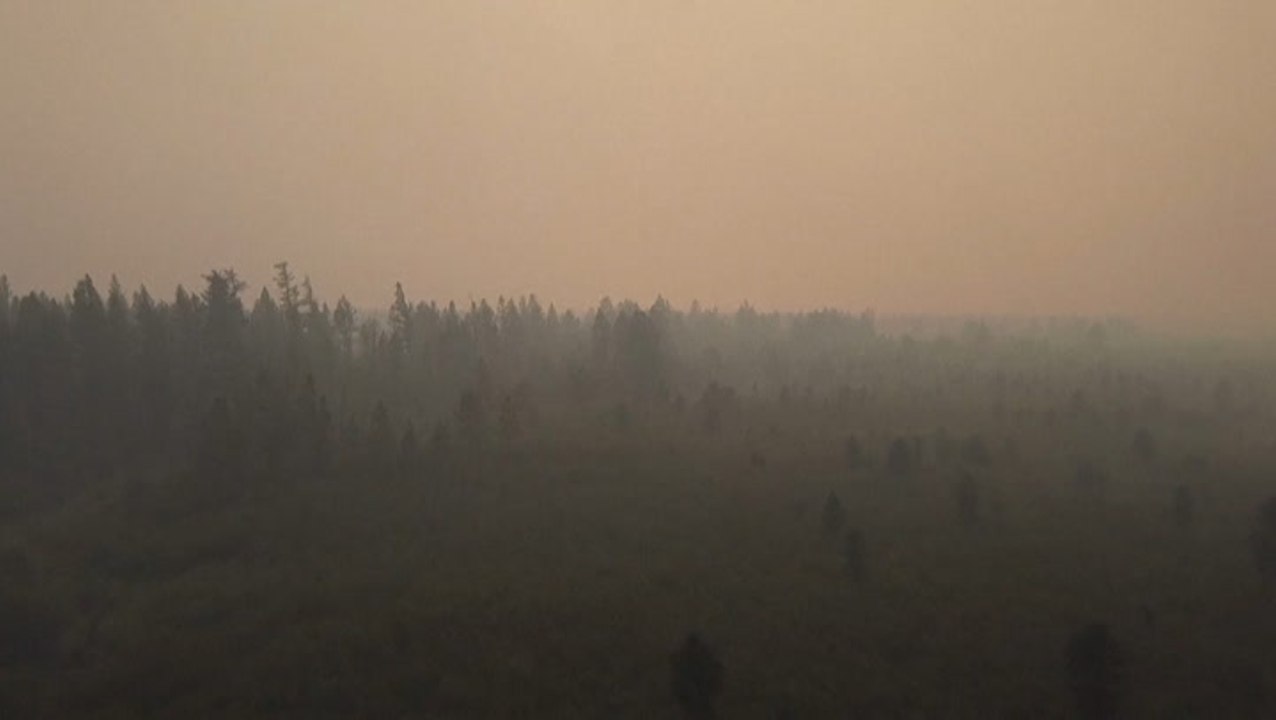 Millions of acres burned in Russian wildfires