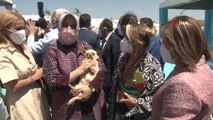 Emine Erdoğan, ses telleri kesilen köpeği Yonca Evcimik'e emanet etti