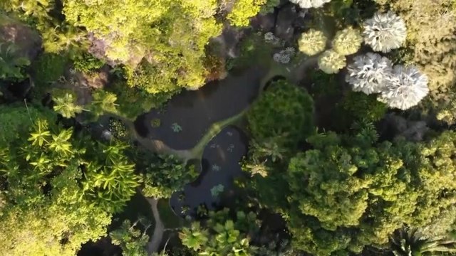 Melihat 3.500 Spesies Tanaman Tropis di Situs Warisan Dunia UNESCO