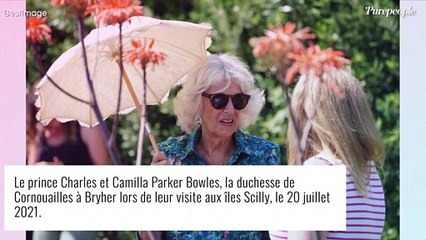 Prince Charles et Camilla : leur supposé fils caché mis à mal par l'une de ses preuves