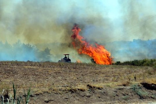 Son dakika haberleri... ADANA'NIN 2 İLÇESİNDE ORMAN YANGINI