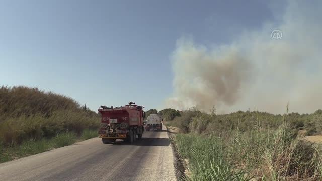 Çukurova'da çıkan orman yangınına müdahale ediliyor