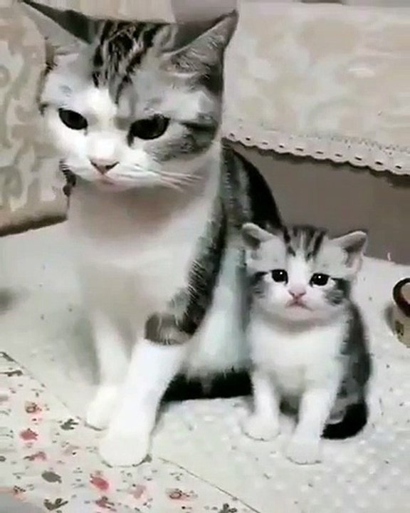 Like mother, like daughter