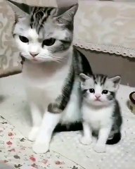 Like mother, like daughter