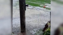 Van’da dolu yağışı bir mahalleyi beyaza bürüdü