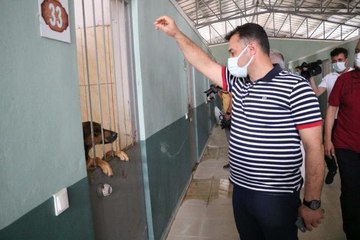 ALANYA BELEDİYE BAŞKANI: ART NİYETLİ İNSANLAR, HAYVAN REHABİLİTE MERKEZİMİZİ KÖTÜLÜYOR