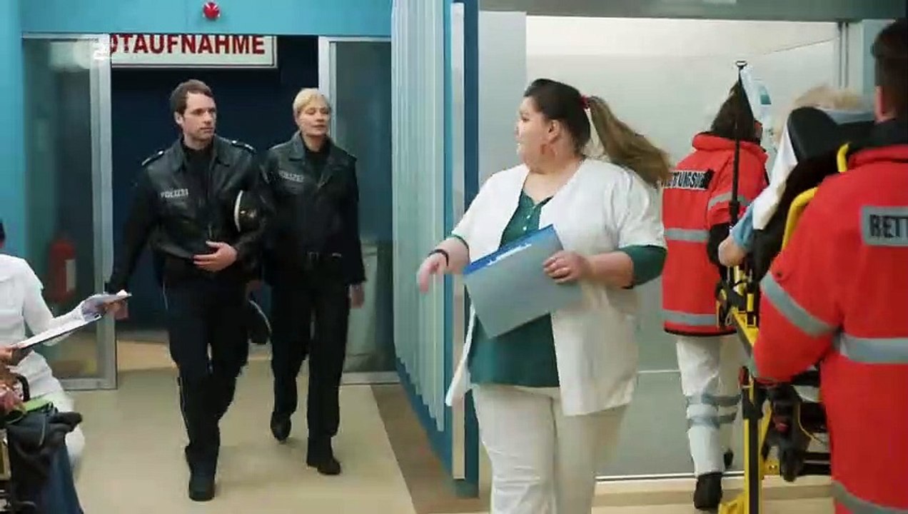 Notruf hafenkante (319) staffel 13 folge 17 - alleycat