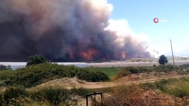Antalya'daki orman yangını sebebiyle gökyüzü dumanla kaplandı