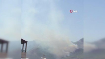 Mersin Aydıncık'ta orman yangını