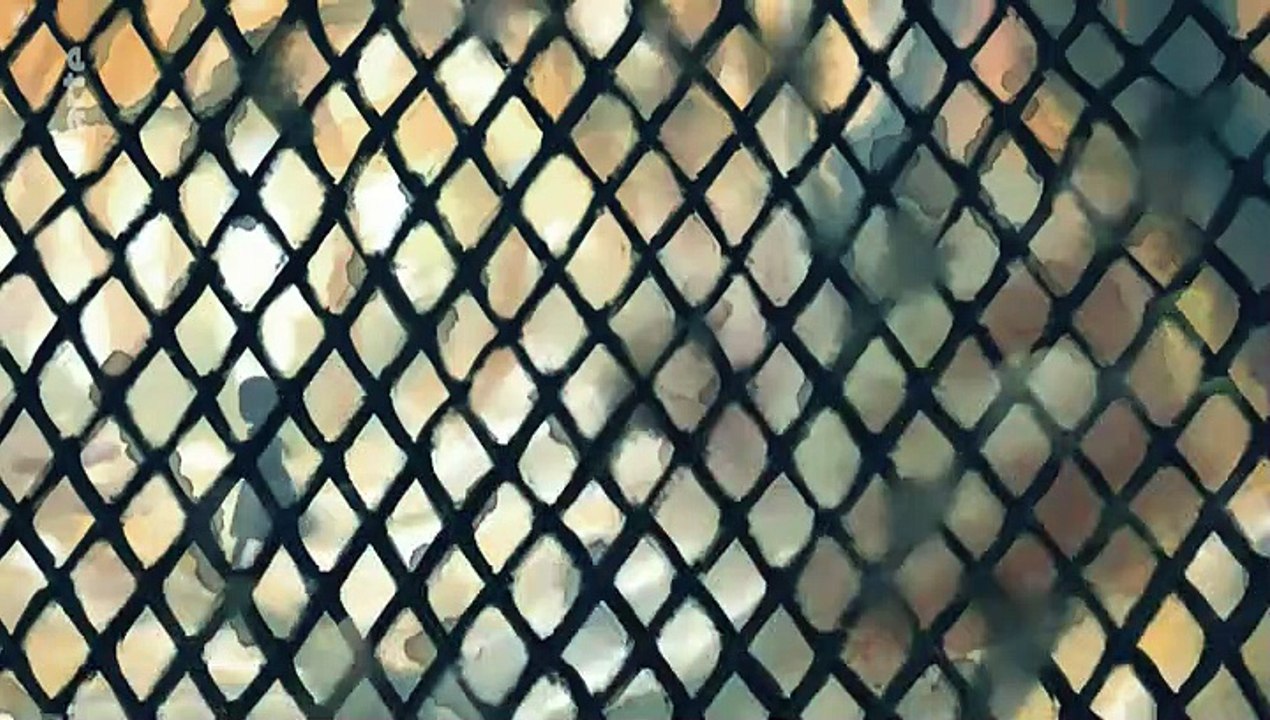 Tétârd - Court métrage français - 2019 - A PERTE DE VUE FILM