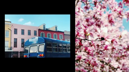 Shoot and Edit Otherworldly Photos in Night Mode with Maria Lax | Apple