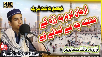 Pashto new Hd naat - Madina che me ledale we by Hafiz Muhammad abo bakar