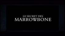 LE SECRET DES MARROWBONE (2017) WEB-DL XviD AC3 FRENCH