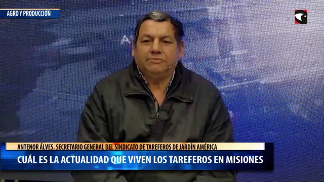 Cuál es la actualidad que viven los tareferos en Misiones