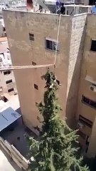 مواقع التواصل تشتعل بفيديو إنقاذ "مغامر" قطة في صويلح