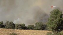 Son dakika haberi | Osmaniye'de orman yangını kontrol altına alma çalışmaları sürüyor
